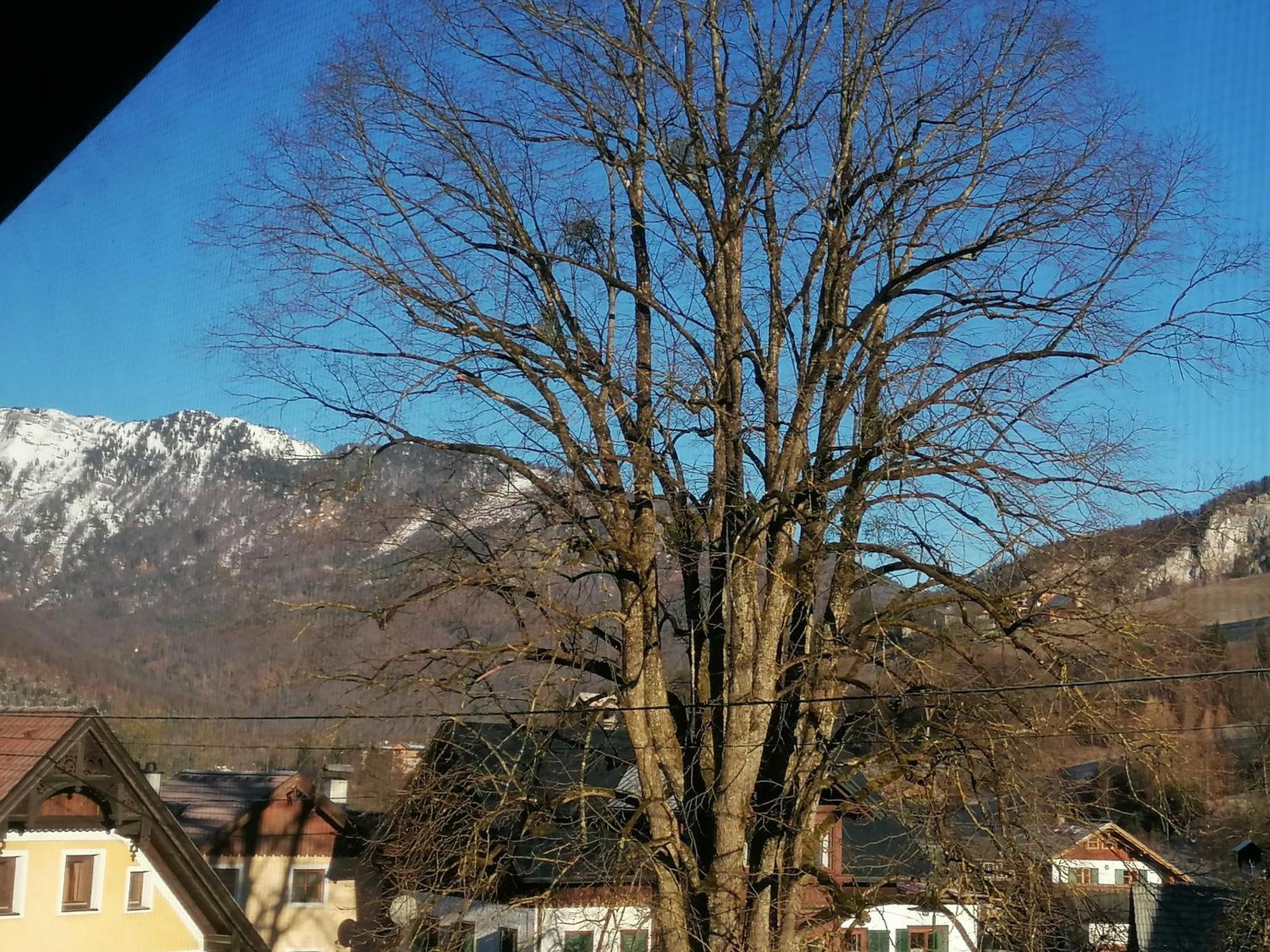 Ferienwohnung Alpenblumal Bad Goisern am Hallstättersee Exterior foto