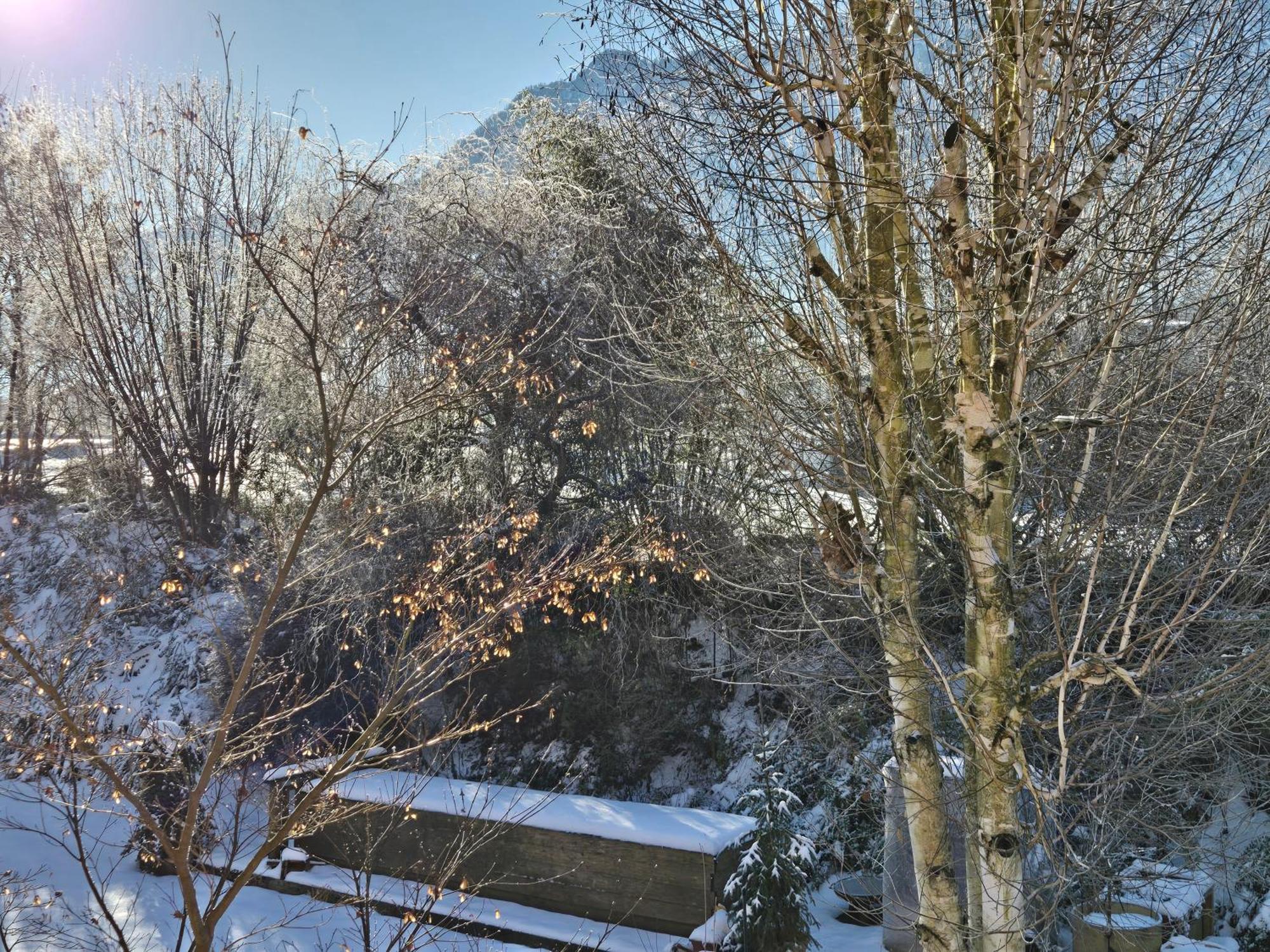 Ferienwohnung Alpenblumal Bad Goisern am Hallstättersee Exterior foto